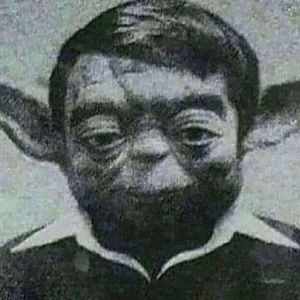 Meet your Posher, Owen